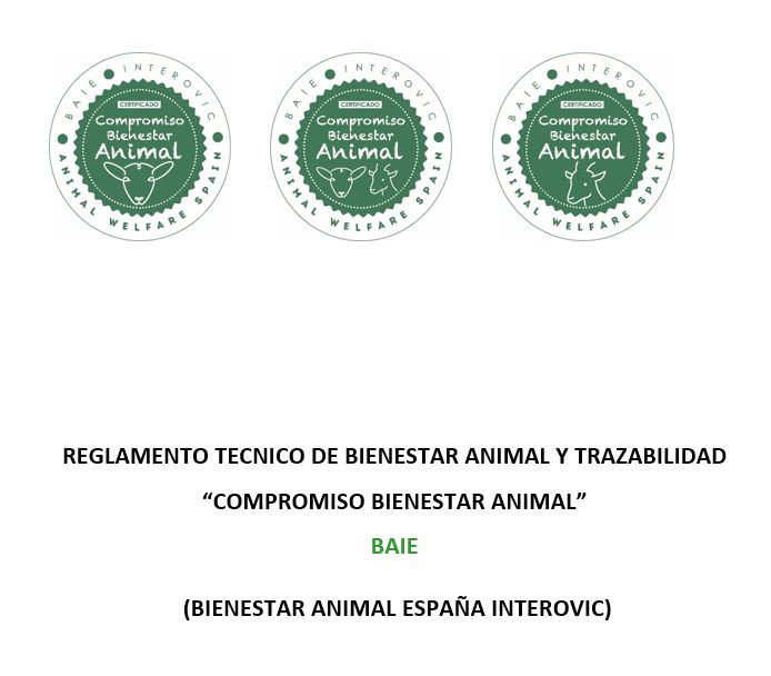 Pinchar la imagen para descargar el RT BAIE